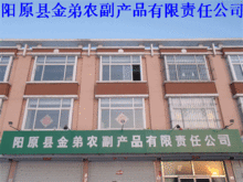 進出口代理助力發展 陽原縣金弟農副產品有限責任公司的農副產品全球化之路