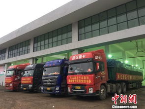 海口大型公益性農(nóng)副產(chǎn)品批發(fā)市場(chǎng)啟動(dòng)試運(yùn)營，39家一級(jí)批發(fā)商入駐開啟惠民新篇章