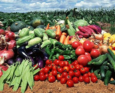 農副產品“價賤傷農”背后 價格低迷為何仍陷銷售困境？